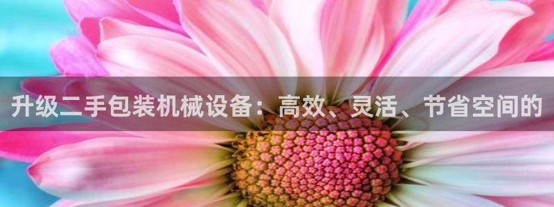 球盟会官方下载