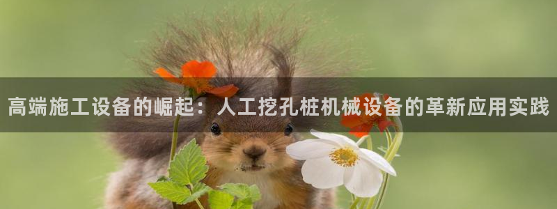 球盟会有没有黑单的球员