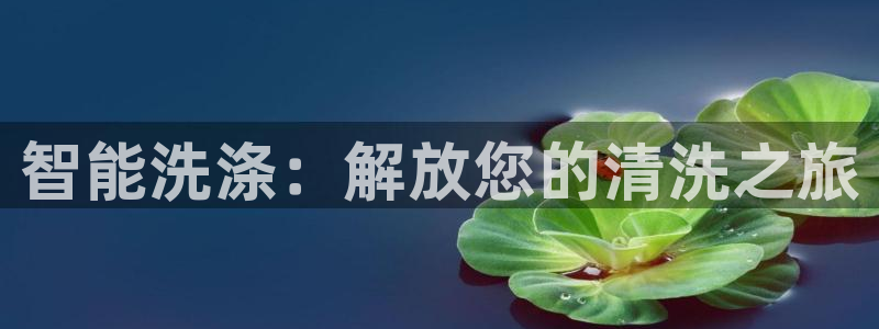 千亿球盟会乐玩