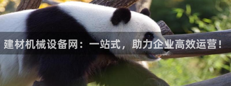 球盟会下款快吗