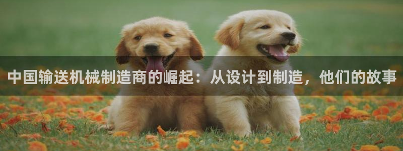 球盟会下款快吗