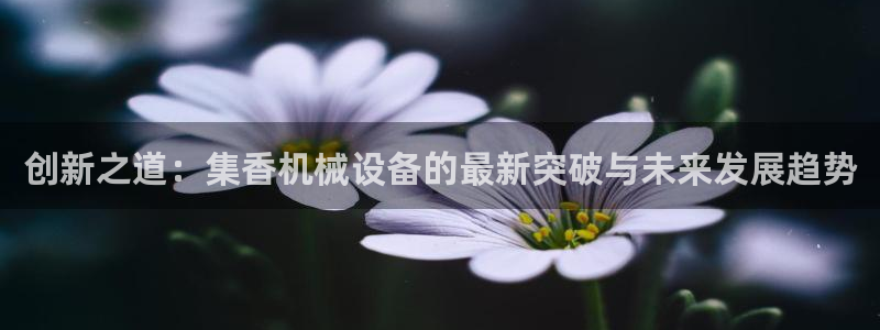 球盟会里面有打牌的嘛知乎