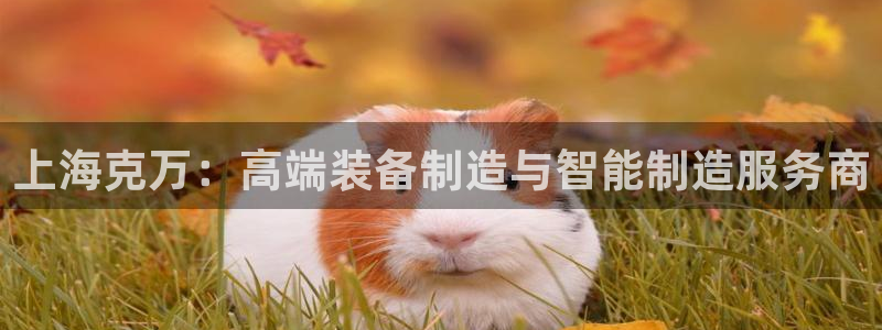 球盟会qmh - 球盟会官方网站