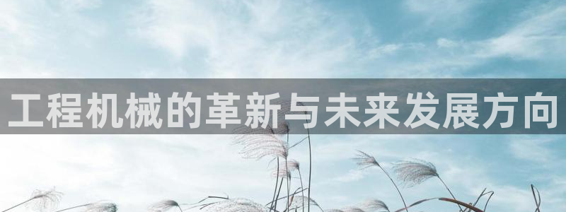 球盟会app网址多少