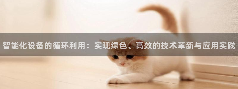 球盟会可以提现么现在