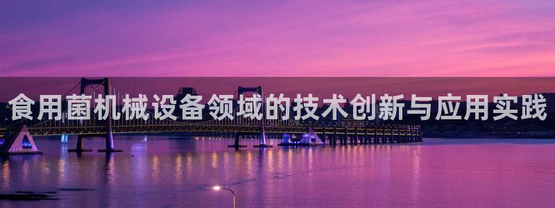 球盟会下载最新版