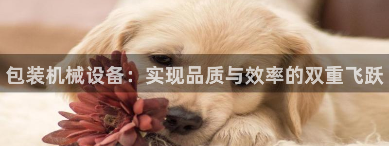 球盟会网页登录app下载地址