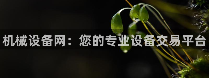 球盟会有没有黑单的活动