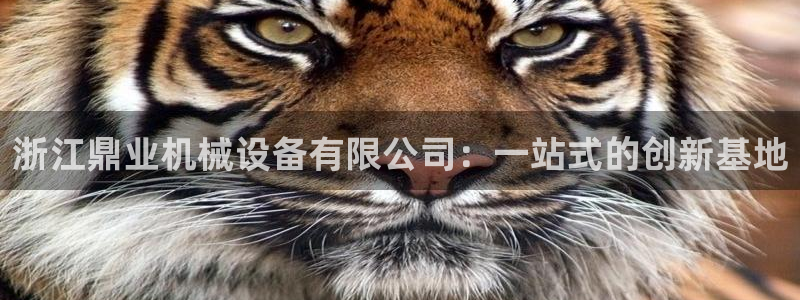 球盟会网页版登陆