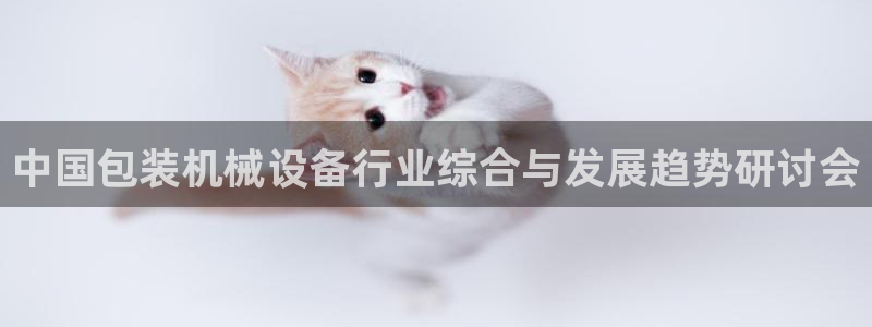 球盟会有限公司怎么样