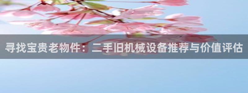 球盟会官方下载