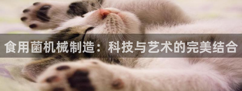 球盟会进不去吗