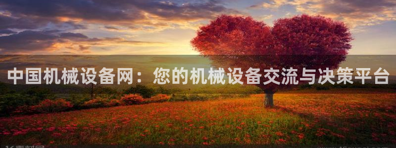 球盟会app最新地址下载安装