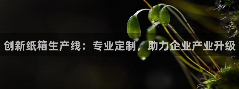 球盟会官网app下载