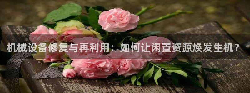 球盟会官方网站是什么