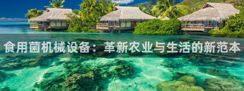 球盟会游戏