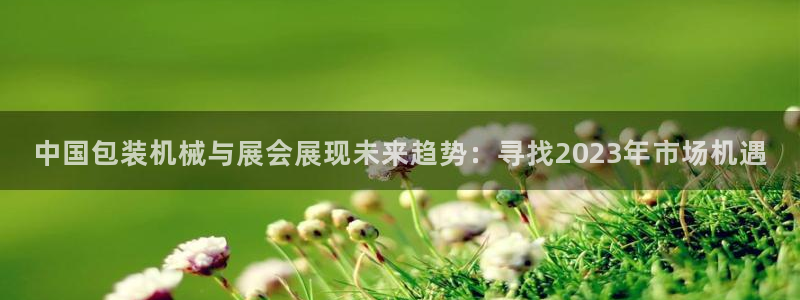 球盟会网页登录app下载地址