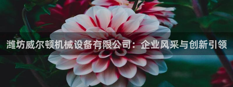 球盟会吧