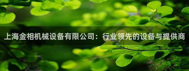 球盟会进不去球员吗