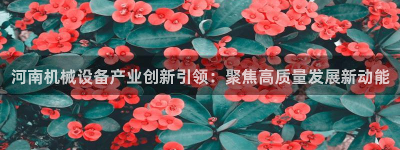 球盟会出款黑了