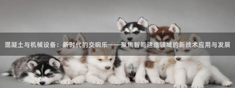 球盟会中国官方网站