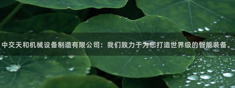 球盟会官网网页版