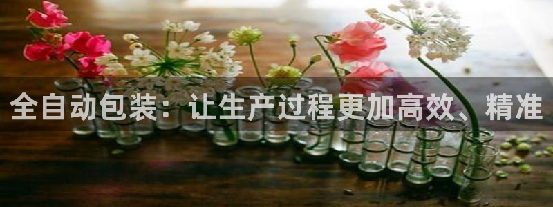 球盟会黑台子吗