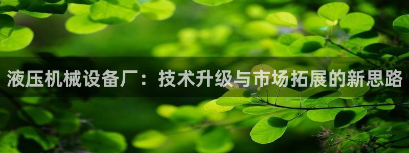 球盟会国际官网