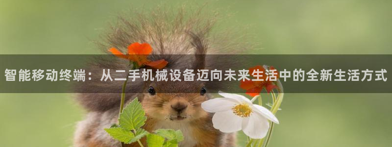 球盟会论坛